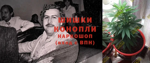 спайс Кодинск
