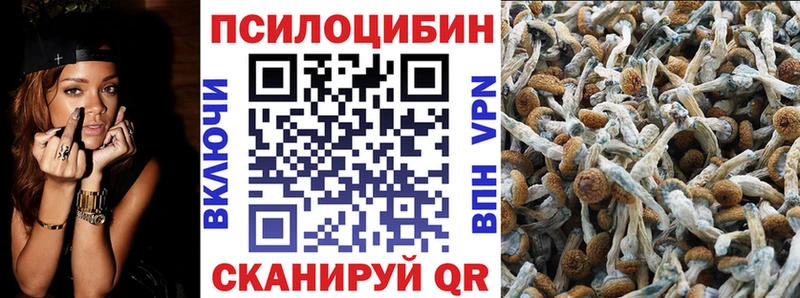 Галлюциногенные грибы Magic Shrooms  Гдов 